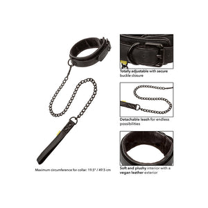 Boundless Collar and Leash